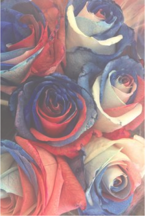 에밀리 On Twitter - Prayer For Julian Assange Clipart (493x734), Png Download