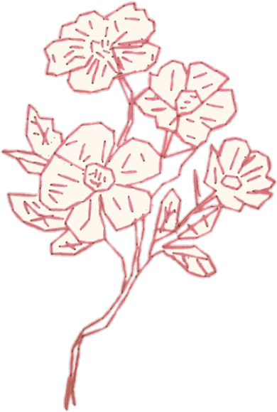 Motif Clipart (500x710), Png Download