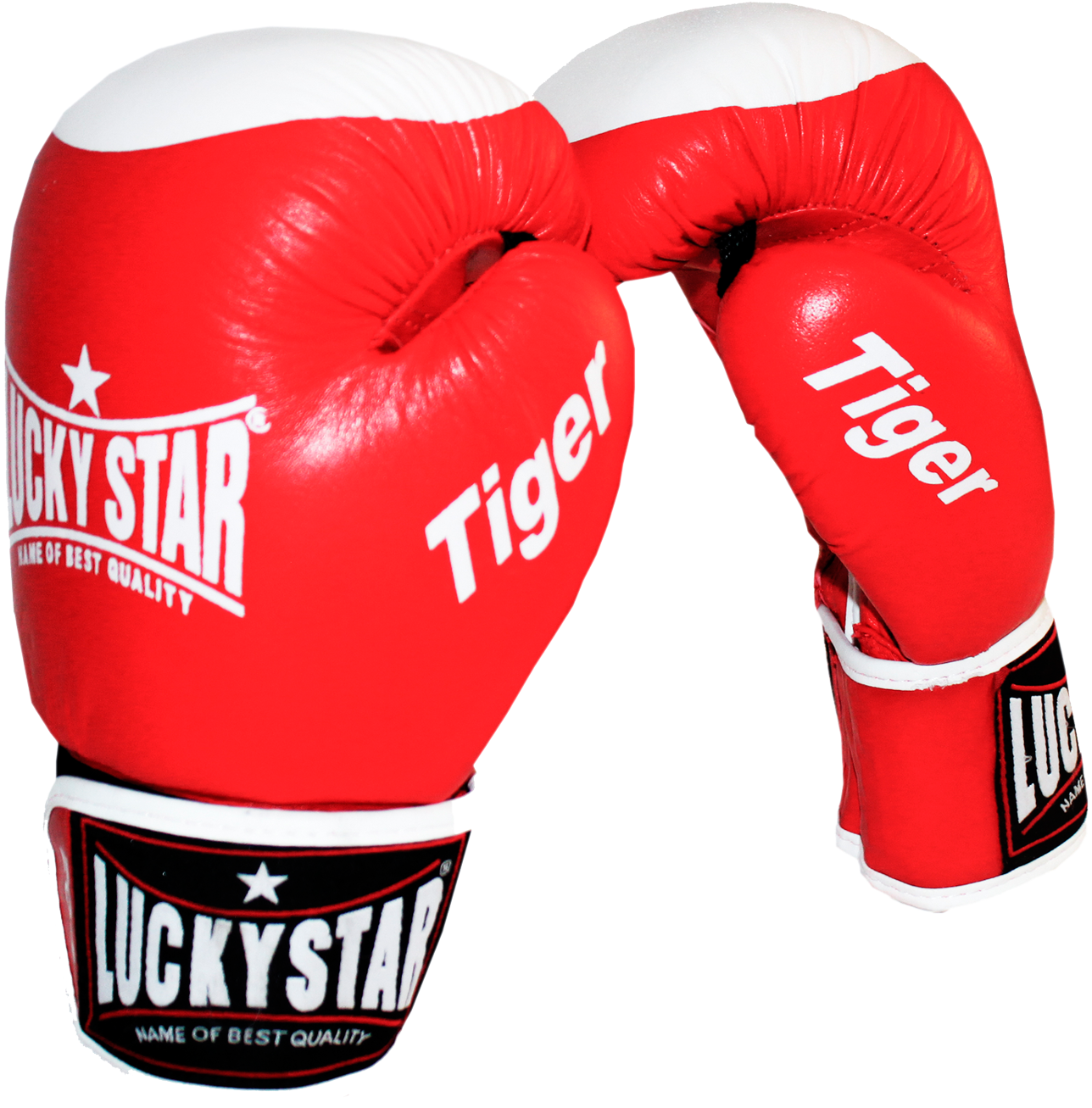 Boxing Gloves Leather “tiger” Red - Lucky Star Boxer Gloves Clipart (1400x1400), Png Download