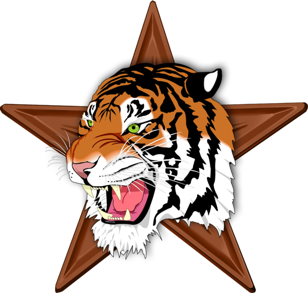 Mammal Barnstar Hires - Jerome High School Tiger Clipart (631x599), Png Download