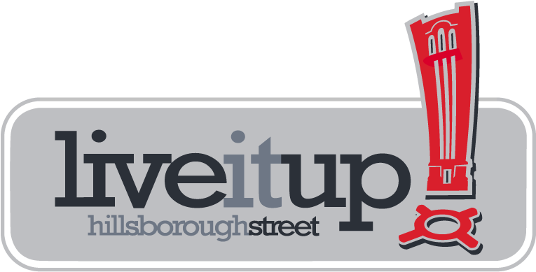 Hillsborough Street Raleigh Nc - Kunsill Nazzjonali Taz Zghazagh Clipart (792x396), Png Download