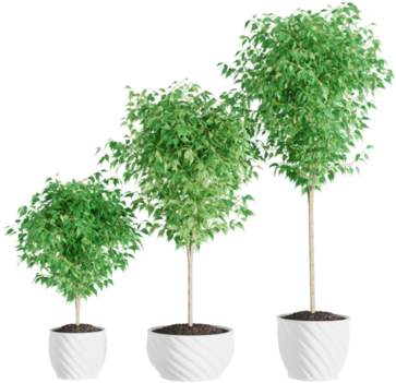 Previous - Next - Flowerpot Clipart (800x400), Png Download