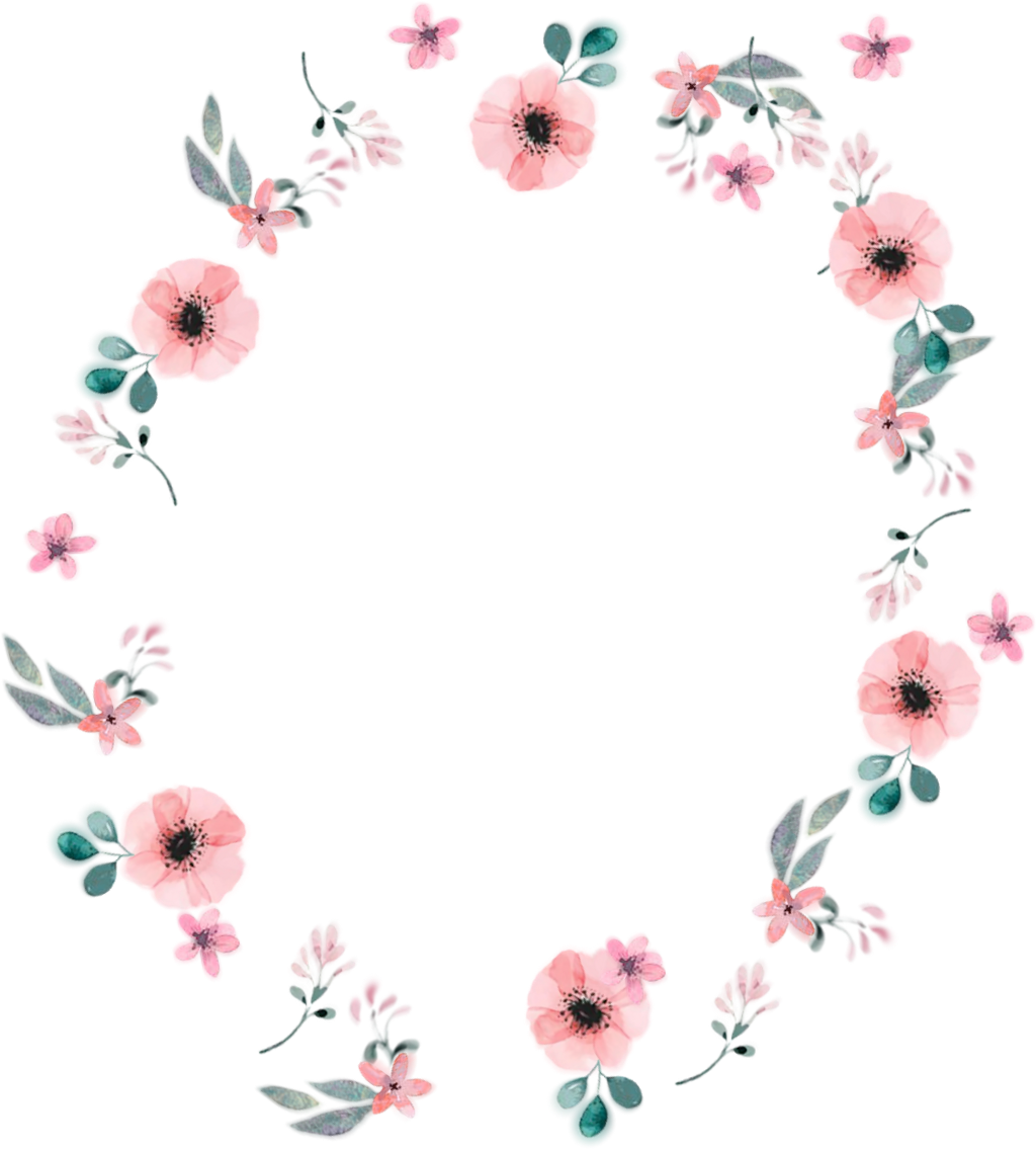 #flowers #everything #border #circle #pretty #cute - Gerbera Clipart (1024x1135), Png Download