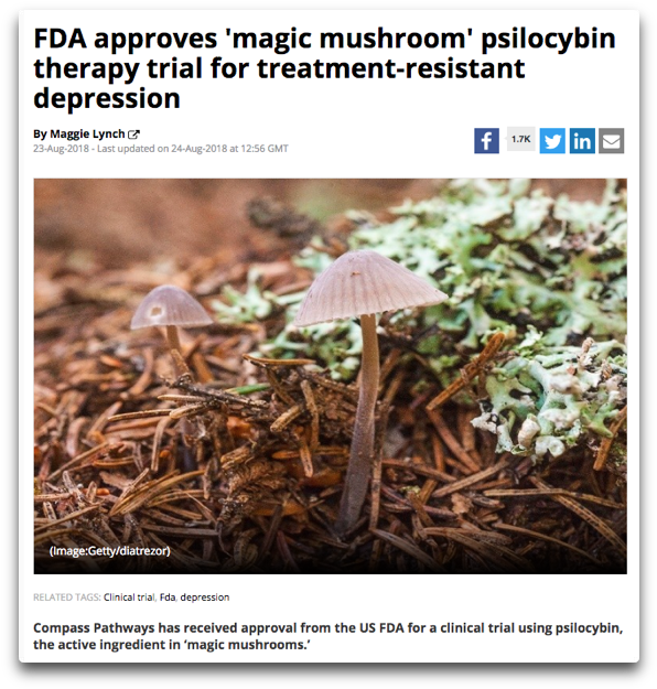 Psilocybin Fda - Agaric Clipart (637x680), Png Download