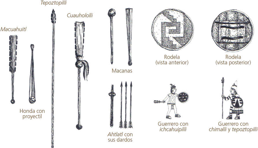 260 03 06 - Arma De Guerrero Aguila Clipart (899x516), Png Download