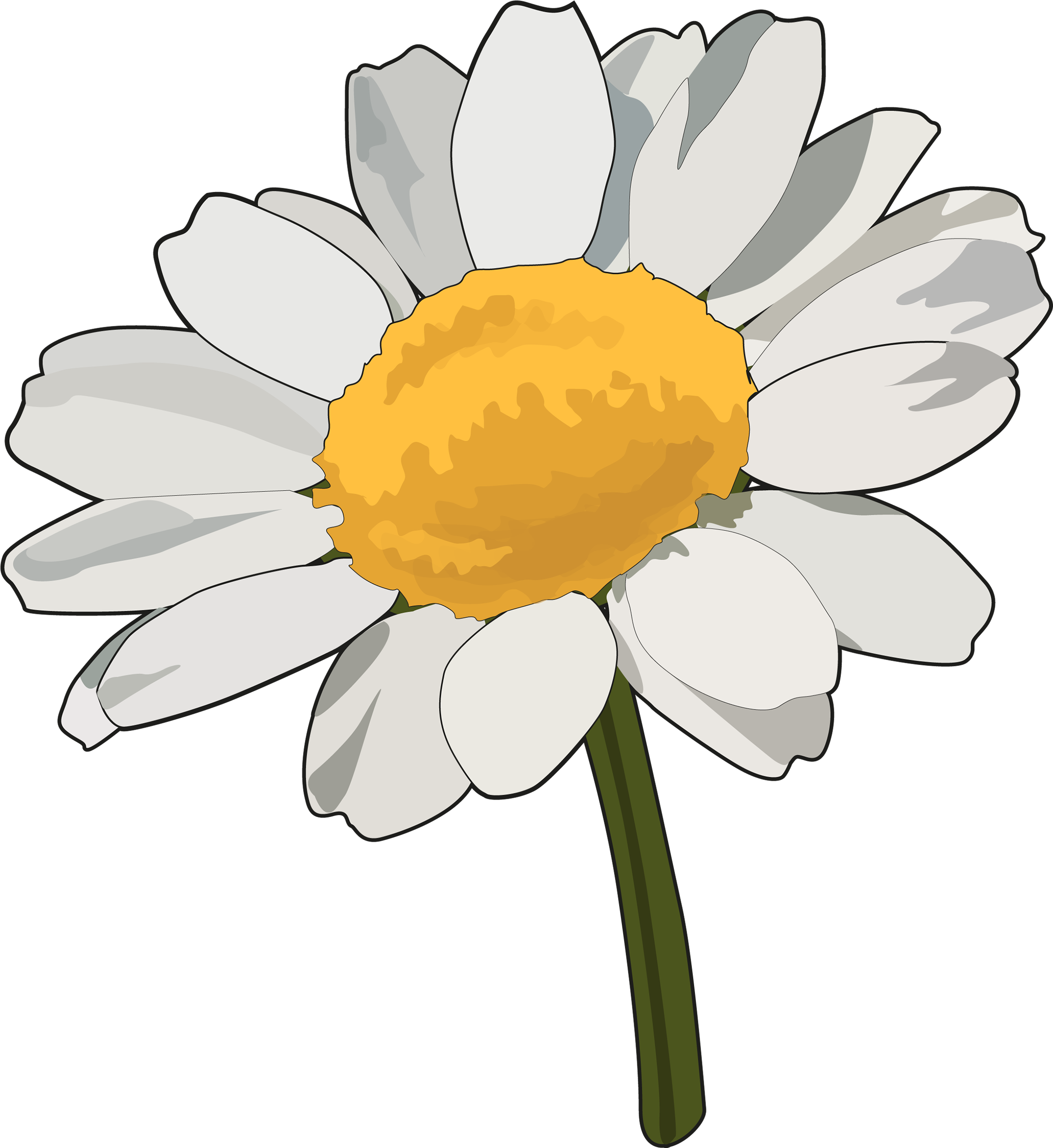 Margaritas Tumblr Png - Camomile Clipart (2480x3508), Png Download