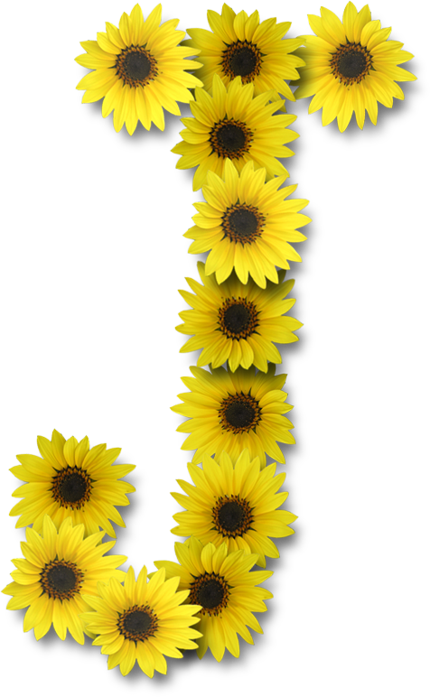 J Letter J Design, Flor Tumblr, Letters - Sunflower Letter J Clipart (476x772), Png Download