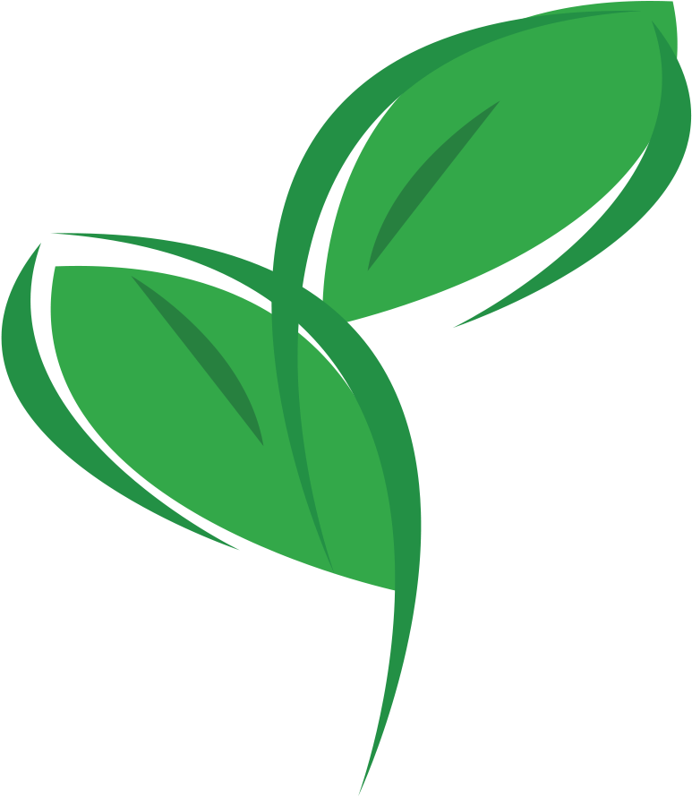 Eco Office Plants - Eco Friendly Clipart (800x939), Png Download