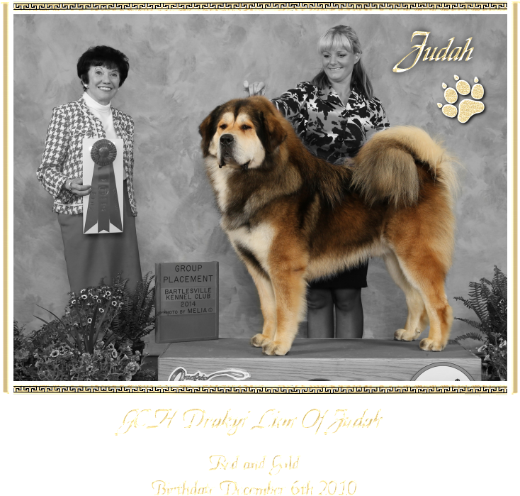 Ancient Dog Breeds Clipart (749x700), Png Download