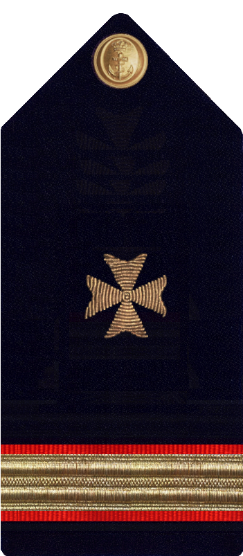 Médico - Stitch Clipart (384x878), Png Download