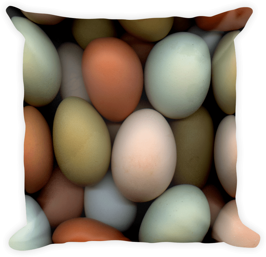 Eggs Pillow - Egg Clipart (1000x1000), Png Download