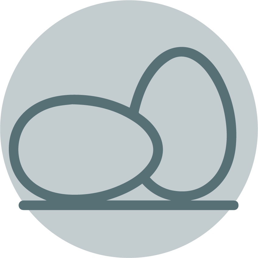 Eggs Coupons - Circle Clipart (848x848), Png Download