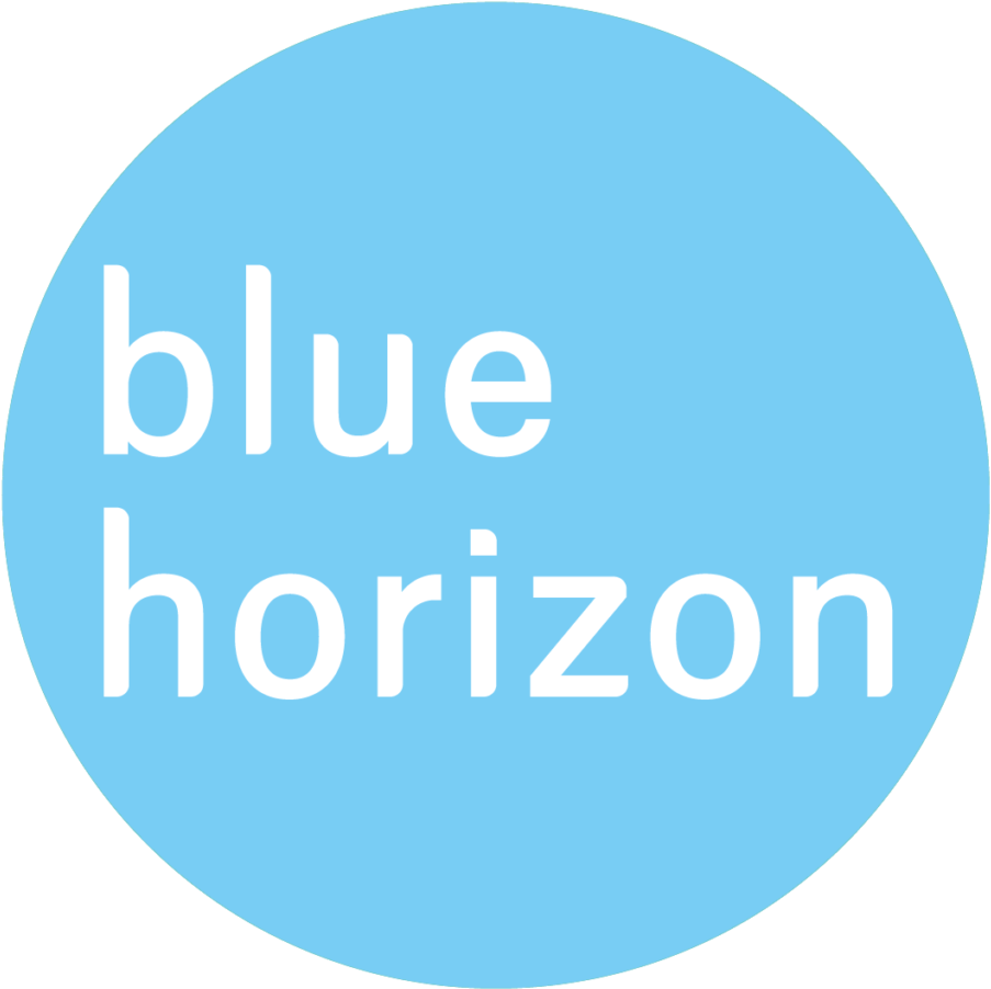 Bhc Icon Blue Round - Big W Logo Australia Clipart (1024x1024), Png Download