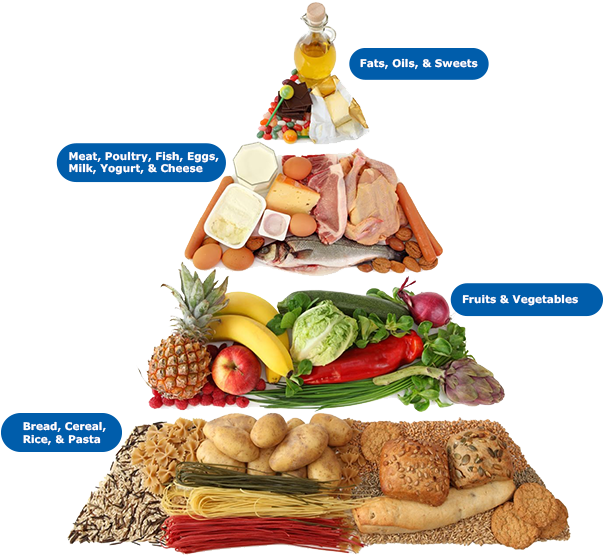 Egal's Art Print - Carbohydrates Food Items Clipart (603x556), Png Download