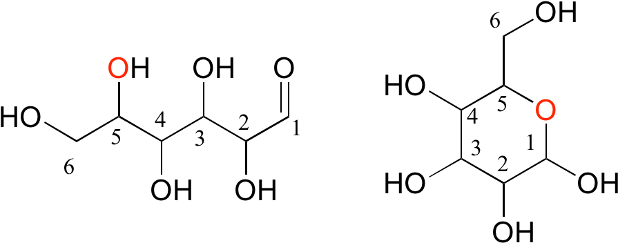 Disaccharides Are Two Monosaccharides Linked Together - Short Fatty Acid Chain Clipart (916x372), Png Download