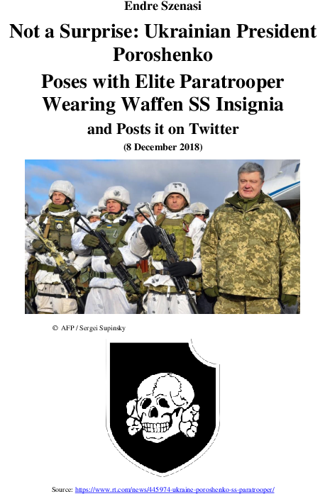 Pdf - Ukraine President Paratroopers Clipart (595x842), Png Download