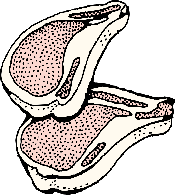 Pork Clipart Black And White - Png Download (718x800), Png Download