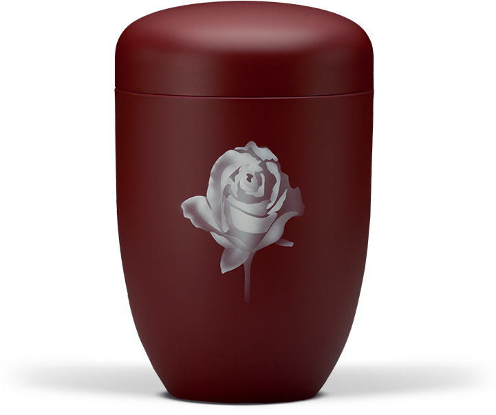 Stahlurne, Weinrot Velours, Airbrush Rose - Garden Roses Clipart (720x720), Png Download