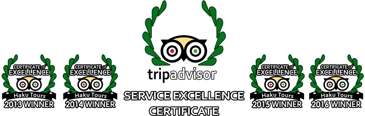 Trip Advisor Award Haku Tours - Tripadvisor Clipart (1312x422), Png Download