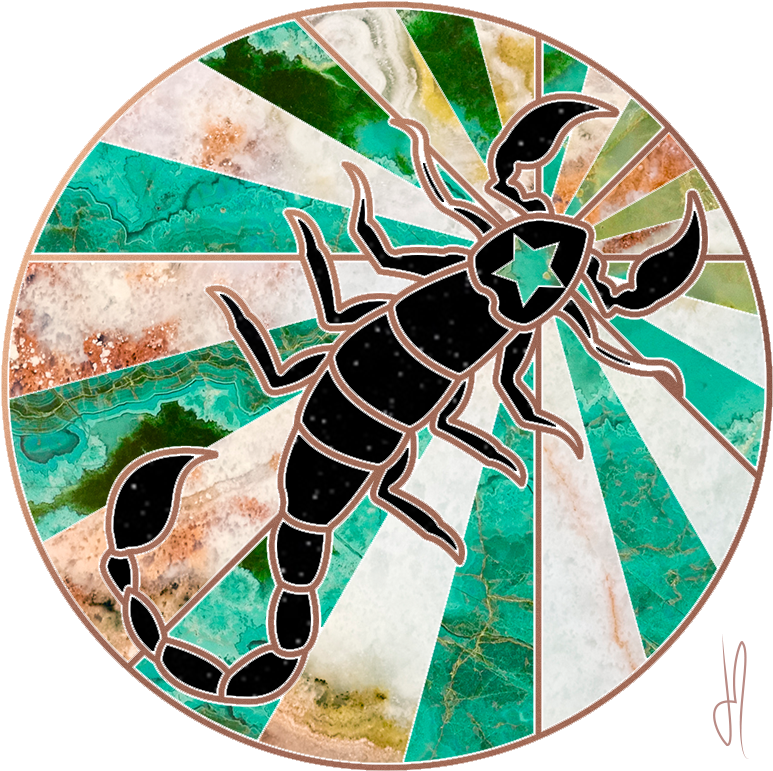 Ja Scorp Green 2 - Circle Clipart (800x800), Png Download