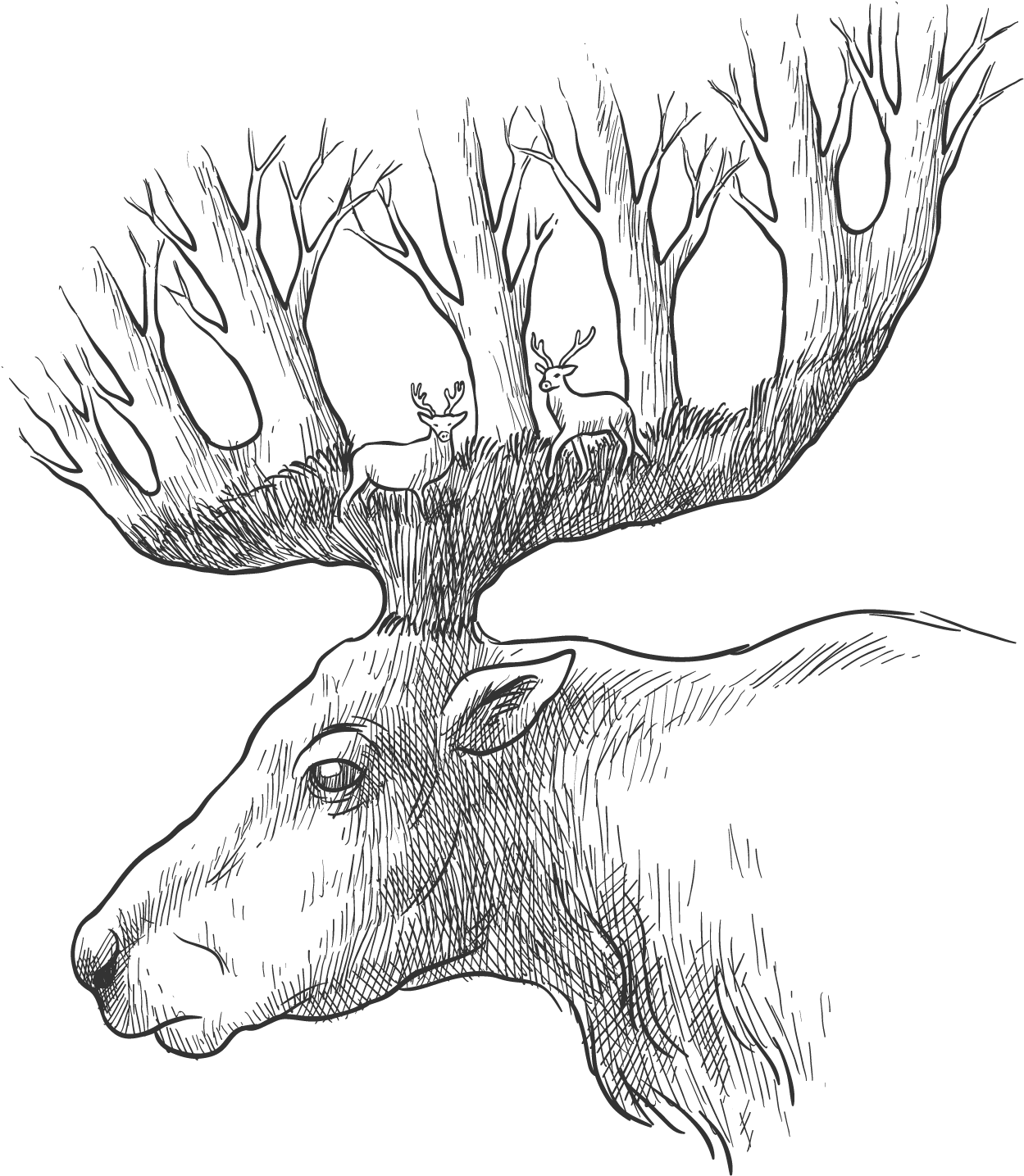 Sketch Clipart (1600x1600), Png Download