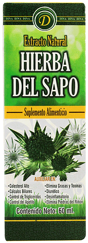 Hierba Del Sapo - Non-vascular Land Plant Clipart (540x800), Png Download