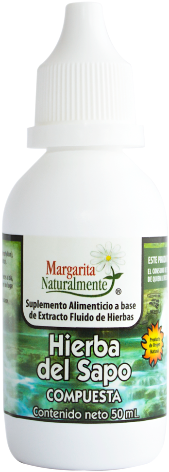 Las Propiedades Medicinales De Determinada Planta, - Margarita Naturalmente Clipart (498x1193), Png Download