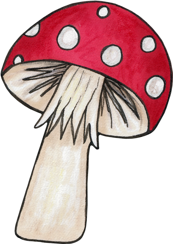 For An Echanted Woodlands Party Pinterest - Sunflower And Mushroom Clipart (612x863), Png Download