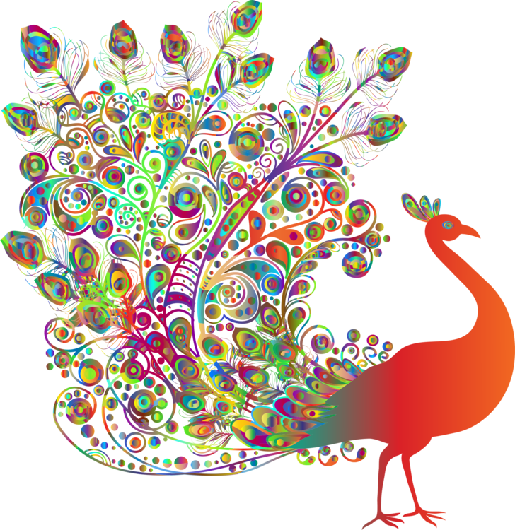 Bird Indian Peafowl Drawing - Peacock Profile Clipart (728x750), Png Download