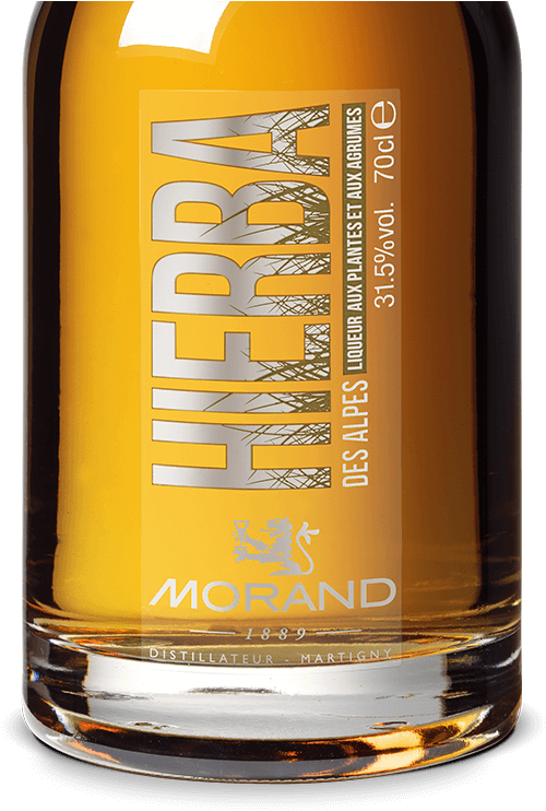 Prev - Beer Clipart (1600x800), Png Download