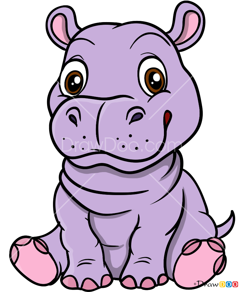 Baby Hippo Cartoon Png Clipart - Large Size Png Image - PikPng.
