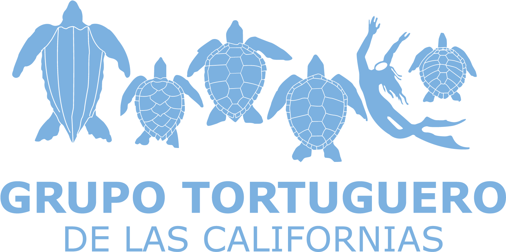 Grupo Tortuguero De Las Californias Clipart (2333x1803), Png Download