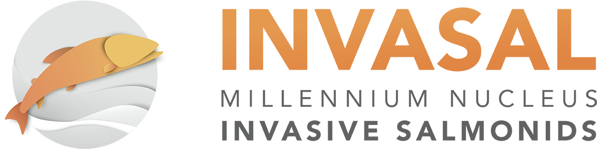 Logotipo Centro Mile - Tan Clipart (1300x357), Png Download