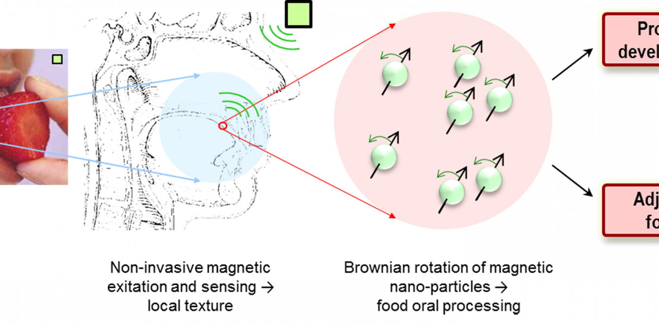 Principle Of Remote Sensing Of Texture In The Mouth - Circle Clipart (1340x660), Png Download