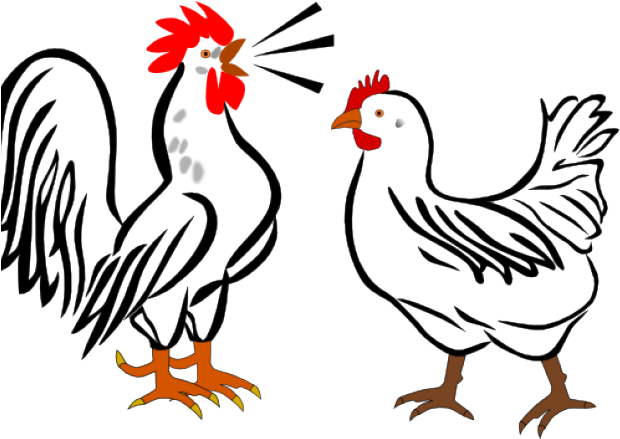 Rooster Chicken Clipart - Png Download (640x480), Png Download