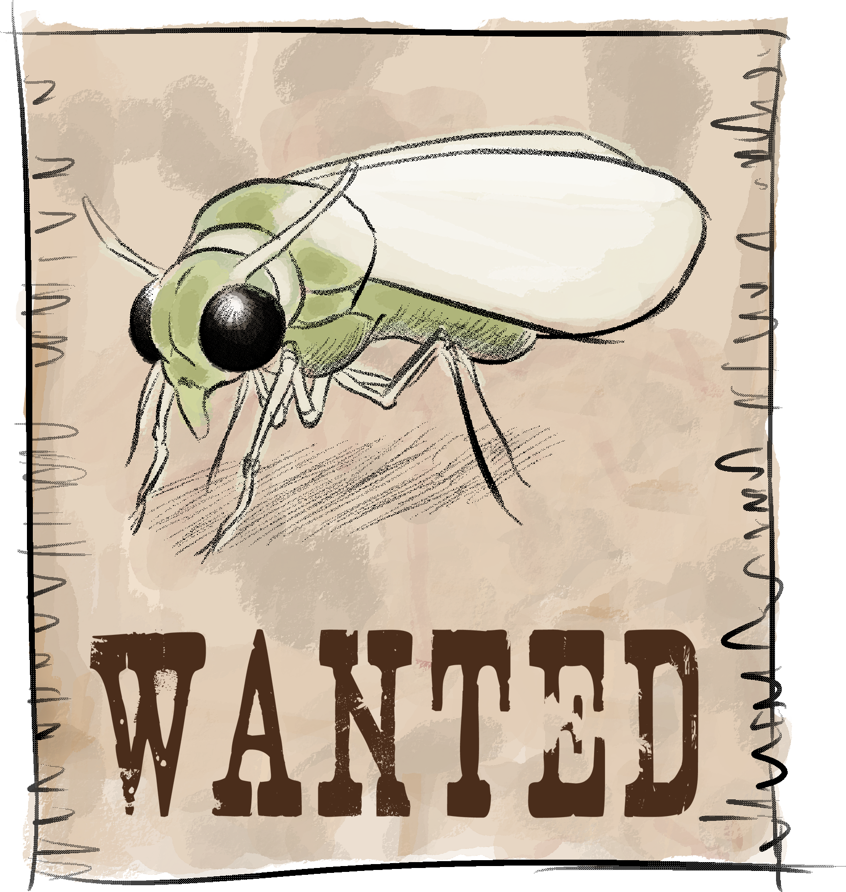 Cartel Mosca Blanca - House Fly Clipart (1727x1821), Png Download