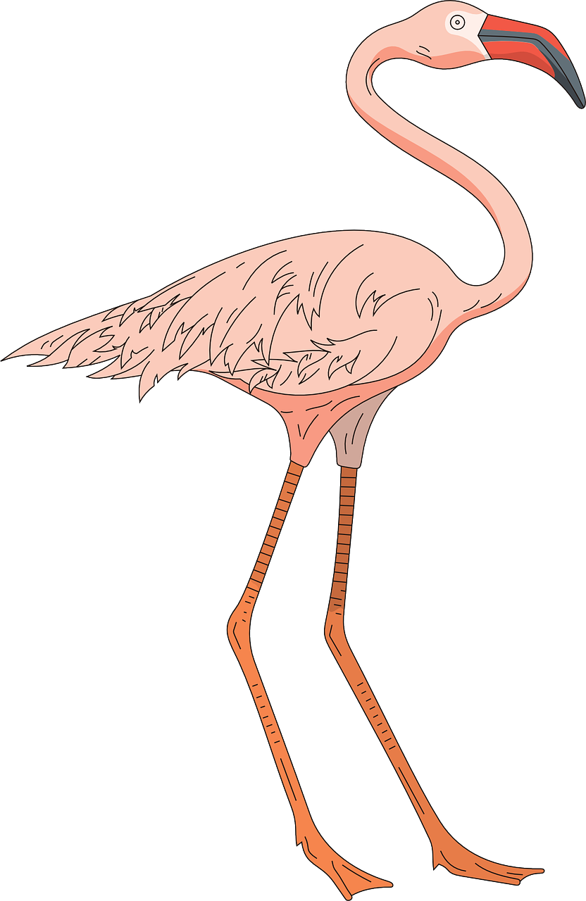 Clip Art - Png Download (832x1280), Png Download