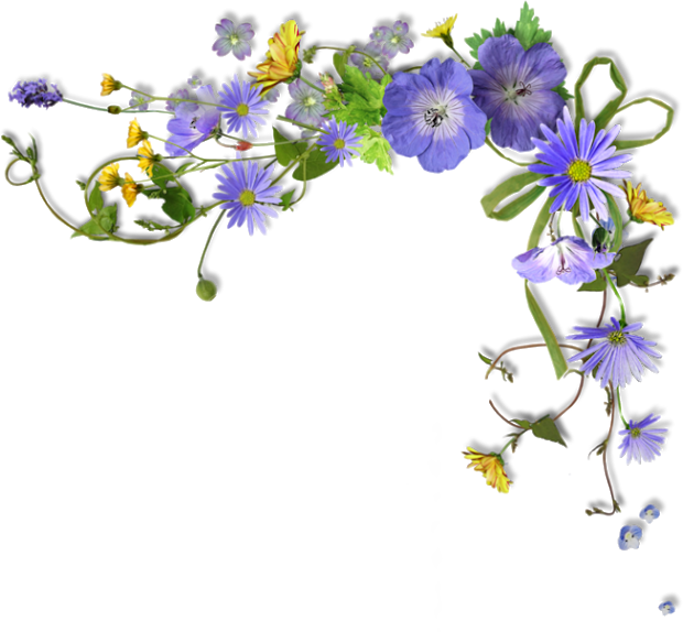 Rustic Flower Corner Border - Flower Borders Clipart Png Transparent Png (620x574), Png Download