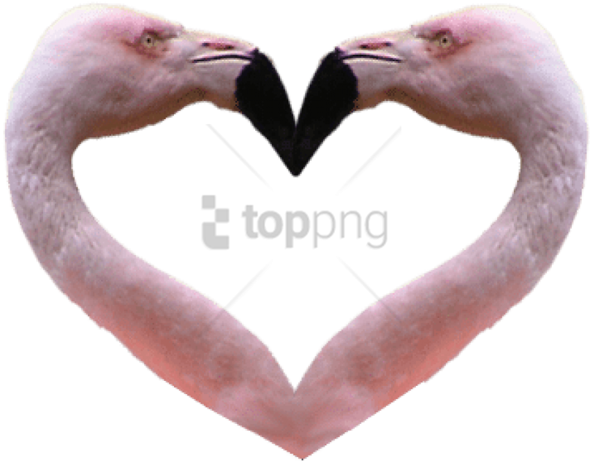 Free Png Flamingos Background Png Image With Transparent - Transparent Background Anime Hearts Clipart (851x667), Png Download