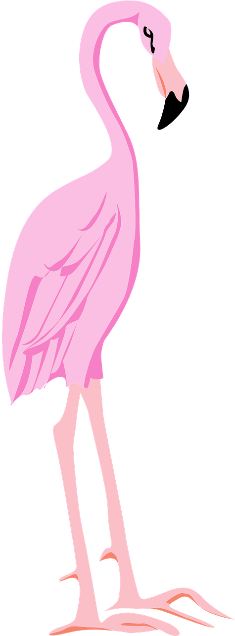 Flamingo Bird Wings - Crane Clipart (640x1280), Png Download