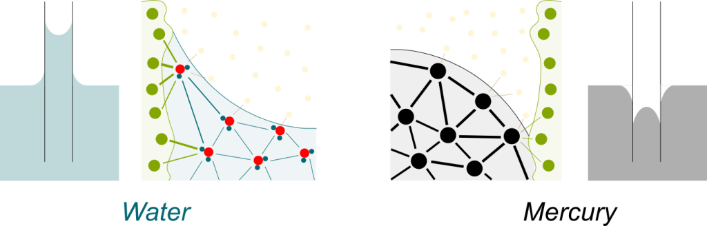 The Total Forces Acting On Water Molecules Close To - Circle Clipart (1024x328), Png Download