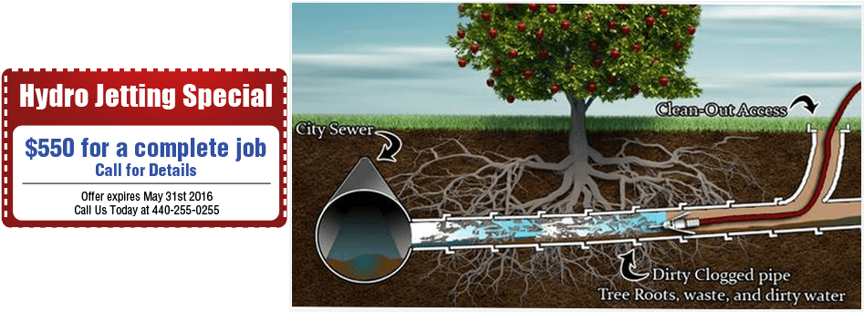 Plumber Fixing Pipe - Water Pipe Tree Roots Clipart (950x365), Png Download