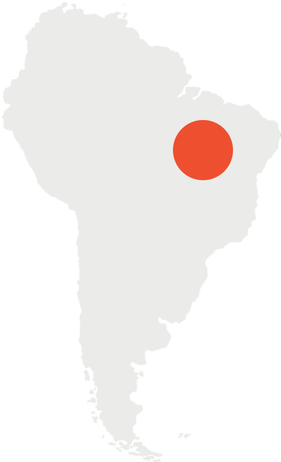 Brazil Map - Płetwal Błękitny Gdzie Żyje Clipart (1000x1000), Png Download