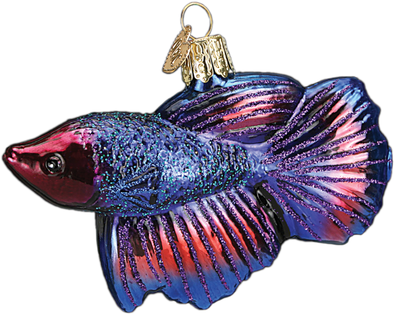 Animals - Betta Old World Clipart (1024x1024), Png Download