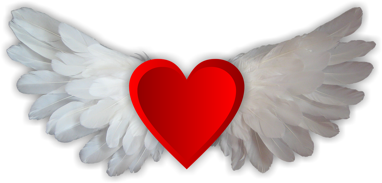 Love Love Wings Heart Png Image - Love Wings Clipart (1280x616), Png Download
