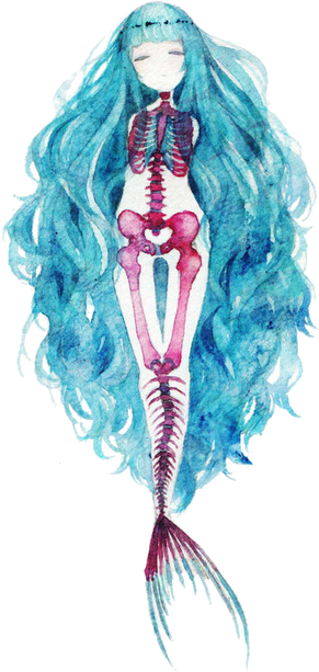 Mine My Edit Mermaid Transparent - Mermaid Skeleton Clipart (500x653), Png Download