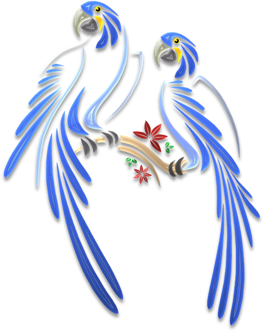 Parrots Illustrations Art & Islamic Graphics - Graphics Islamic Clipart (532x667), Png Download