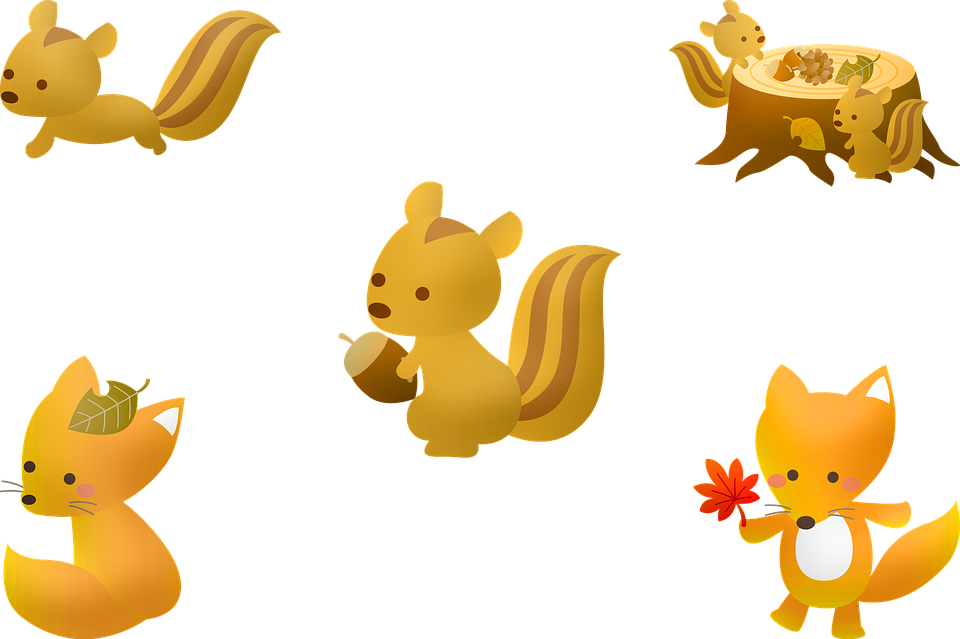 Squirrel Fall Autumn Acorn Leaf Nature Tree - Squirrel Clipart (960x639), Png Download