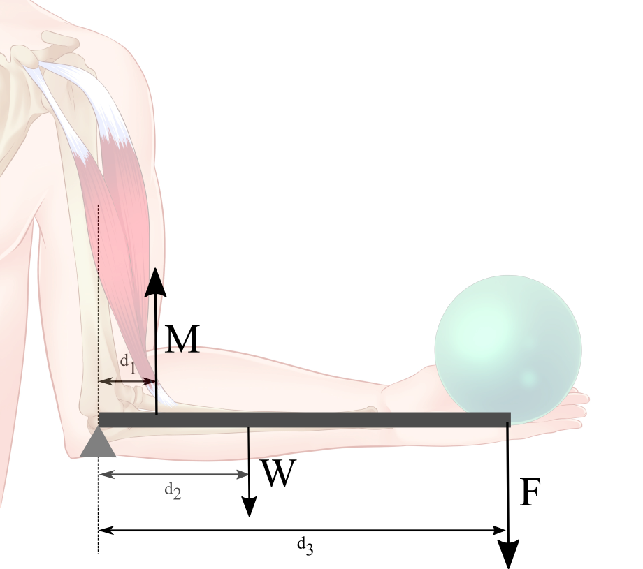 1) Using The Numerical Values Stated In The Problem - Monoplane Clipart (920x815), Png Download