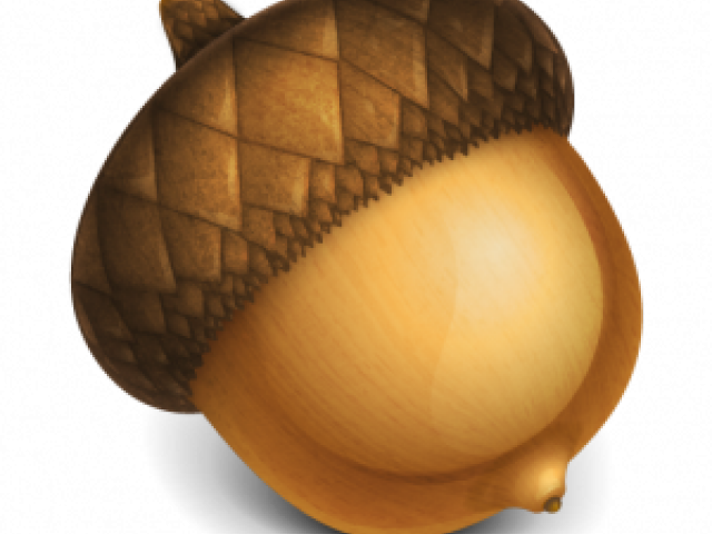 Freeuse Acorn Clipart Free - Acorn Icon - Png Download (640x480), Png Download